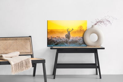 Ljuddämpande tavla - Deer at dawn