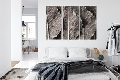 Ljuddämpande tavla - Gray leaves on a macro scale