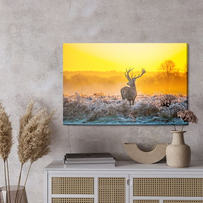 Ljuddämpande tavla - Deer at dawn