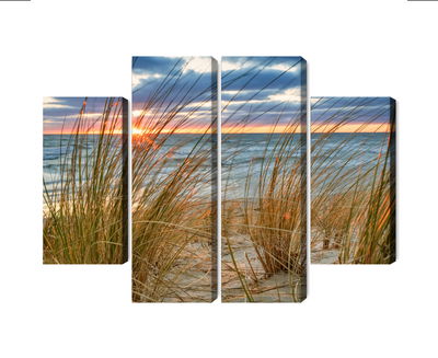 Ljuddämpande tavla - Sunrise on the beach of rügen