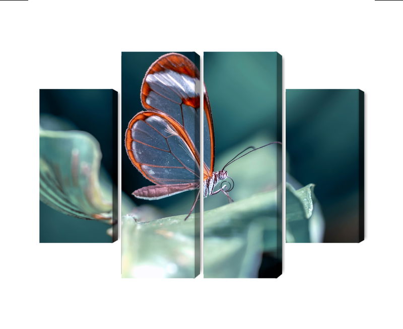 Ljuddämpande tavla - Glass-winged butterfly close