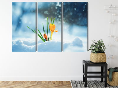 Ljuddämpande tavla - Yellow crocuses breaking