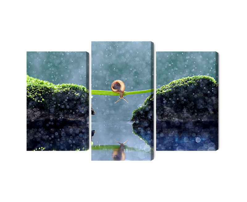 Ljuddämpande tavla - Snail in the rain