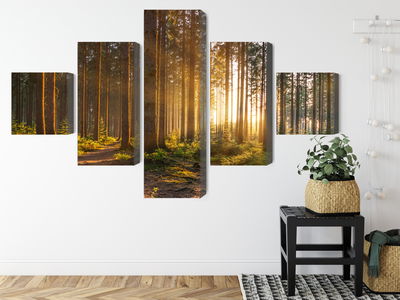 Ljuddämpande tavla - Sunset in the forest