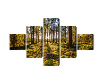 Ljuddämpande tavla - 3d sunny forest landscape