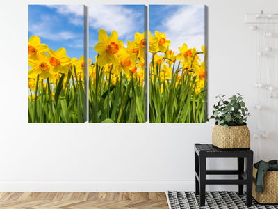 Ljuddämpande tavla - Daffodil field 3d