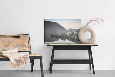 Ljuddämpande tavla - Deer by the lake