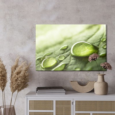 Ljuddämpande tavla - Water drops on a green leaf