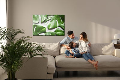 Ljuddämpande tavla - Monstera leaves on a gray