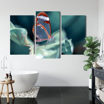 Ljuddämpande tavla - Glass-winged butterfly close