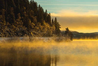 Ljuddämpande tavla - Winter country