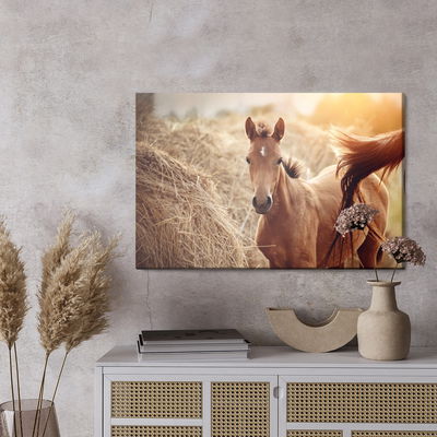 Ljuddämpande tavla - A foal on a background