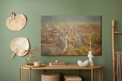 Ljuddämpande tavla - Deer with a doe
