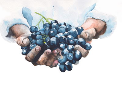 Ljuddämpande tavla - Grapes in hands