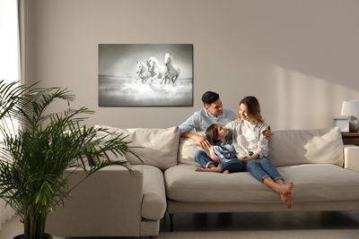 Ljuddämpande tavla - Horses in black and white