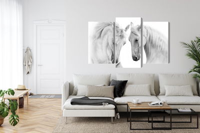 Ljuddämpande tavla - Two horses on a white