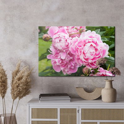Ljuddämpande tavla - Peony flowers