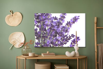 Ljuddämpande tavla - Blooming lavender flowers