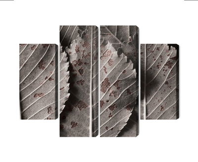 Ljuddämpande tavla - Gray leaves on a macro scale