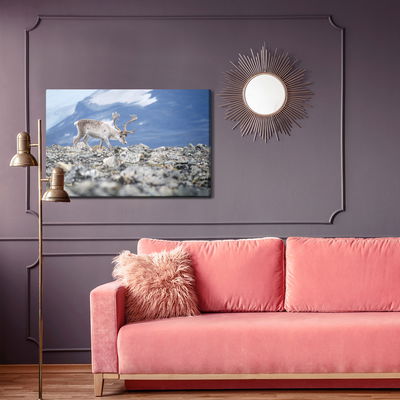 Ljuddämpande tavla - Reindeer on the background