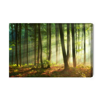 Ljuddämpande tavla - Of a beautiful morning