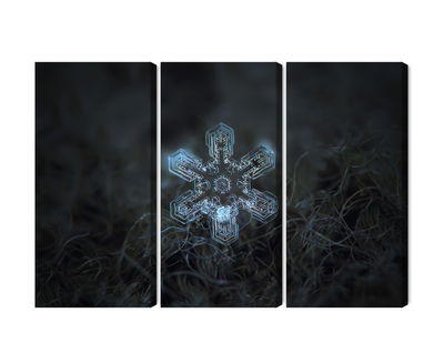 Ljuddämpande tavla - Snow flake in 3d macro scale