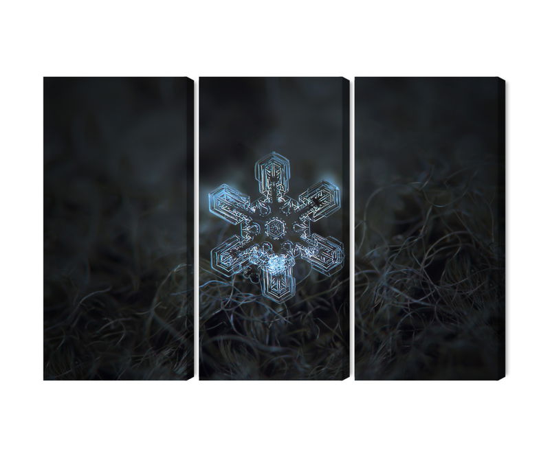 Ljuddämpande tavla - Snow flake in 3d macro scale