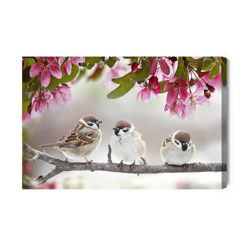 Ljuddämpande tavla - Sparrows birds