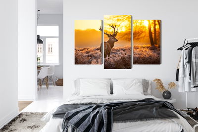 Ljuddämpande tavla - Deer in the forest at sunset