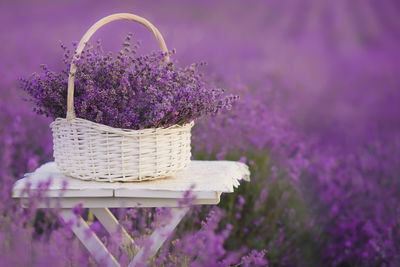 Ljuddämpande tavla - Wicker basket with lavender