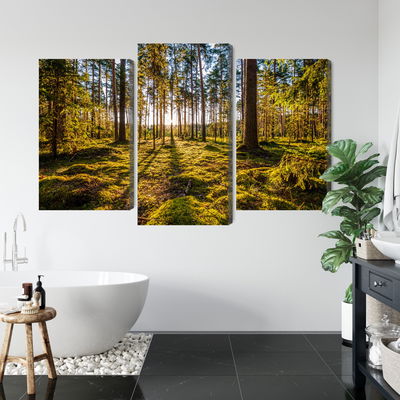 Ljuddämpande tavla - 3d sunny forest landscape