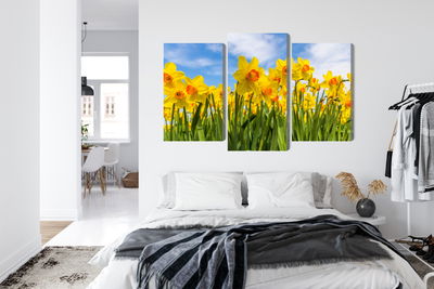 Ljuddämpande tavla - Daffodil field 3d