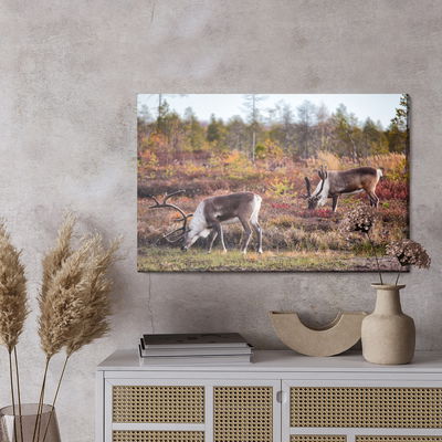 Ljuddämpande tavla - Siberian deer