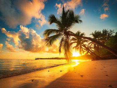 Ljuddämpande tavla - Tropical beach in punta