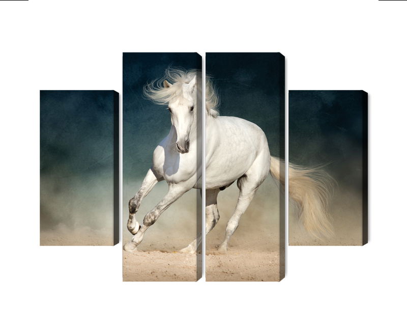 Ljuddämpande tavla - A white horse at a gallop