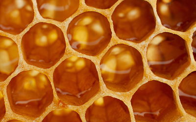 Ljuddämpande tavla - Honeycomb in macro scale