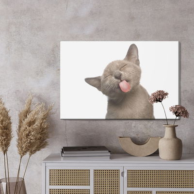 Ljuddämpande tavla - Lovely kitten