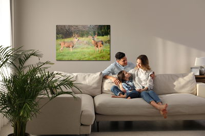 Ljuddämpande tavla - Two young deer