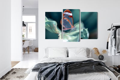 Ljuddämpande tavla - Glass-winged butterfly close
