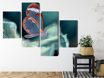 Ljuddämpande tavla - Glass-winged butterfly close