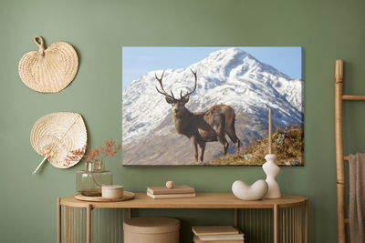 Ljuddämpande tavla - A deer with a mountain peak