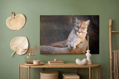 Ljuddämpande tavla - Puma in its natural habitat