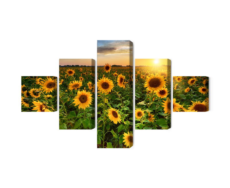 Ljuddämpande tavla - Sunflower field at sunset 3d