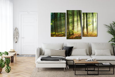 Ljuddämpande tavla - The rays of the sun