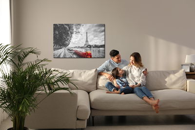 Ljuddämpande tavla - River seine in Paris