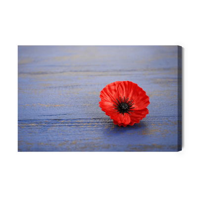 Ljuddämpande tavla - Poppy flower on a blue