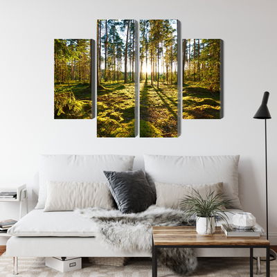 Ljuddämpande tavla - Forest landscape with sunset