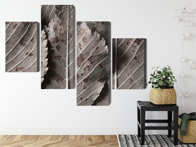 Ljuddämpande tavla - Gray leaves on a macro scale