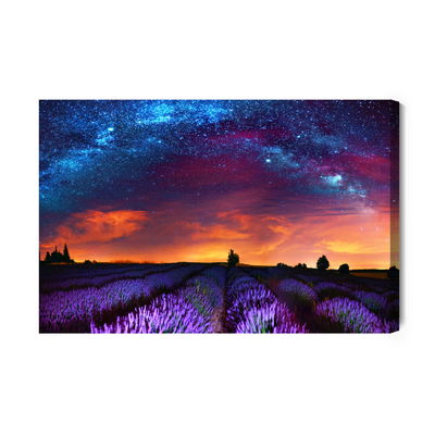 Ljuddämpande tavla - Lavender field on a starry