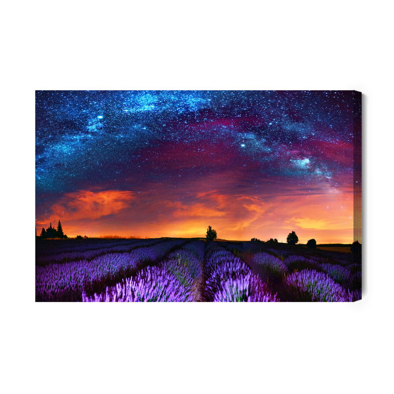Ljuddämpande tavla - Lavender field on a starry